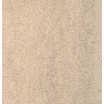 Beige Sahara